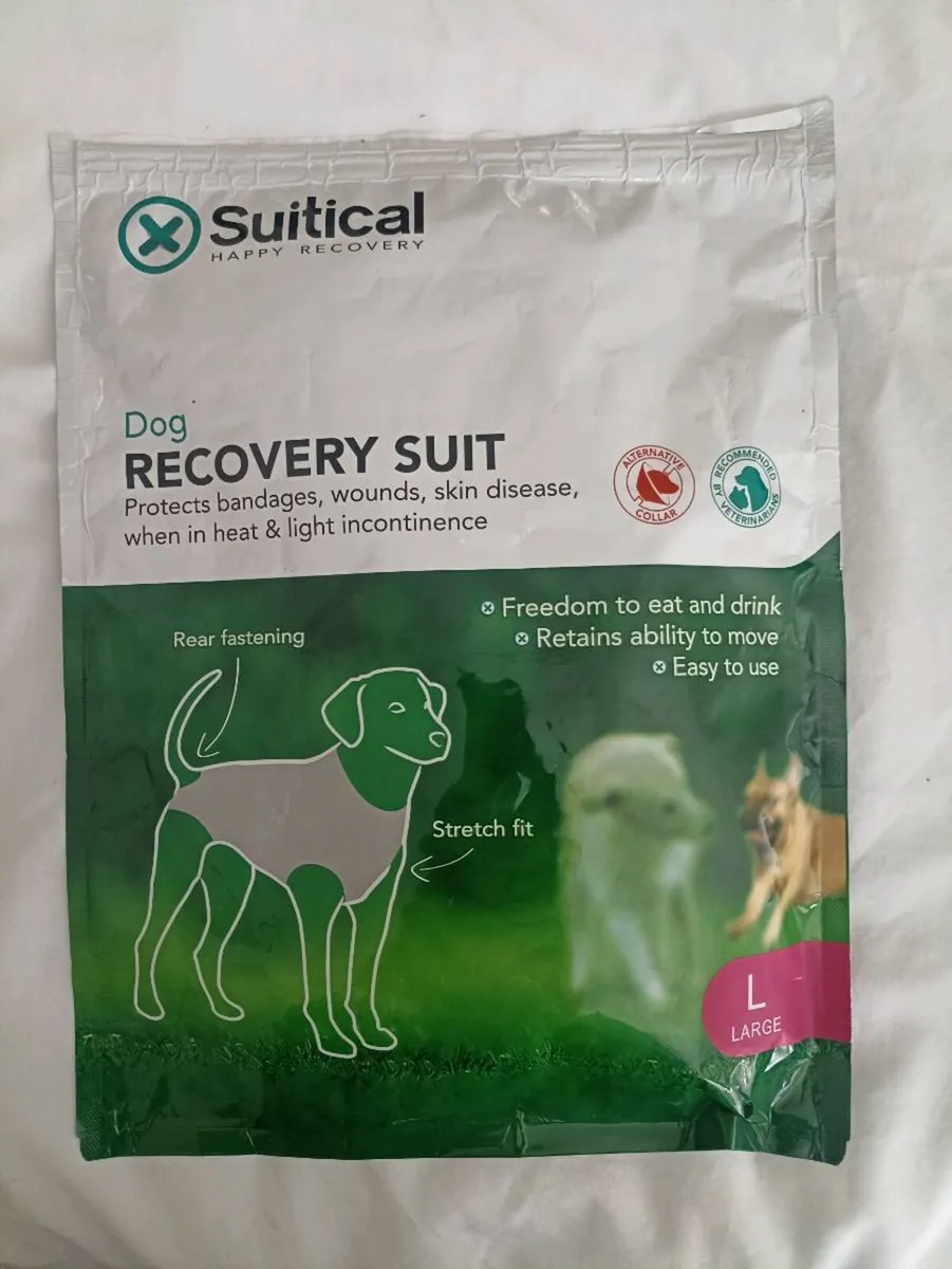 Recovery suit