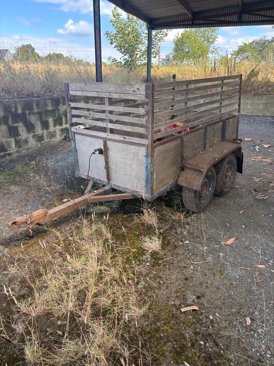 Twin Axle Trailer - Image 1
