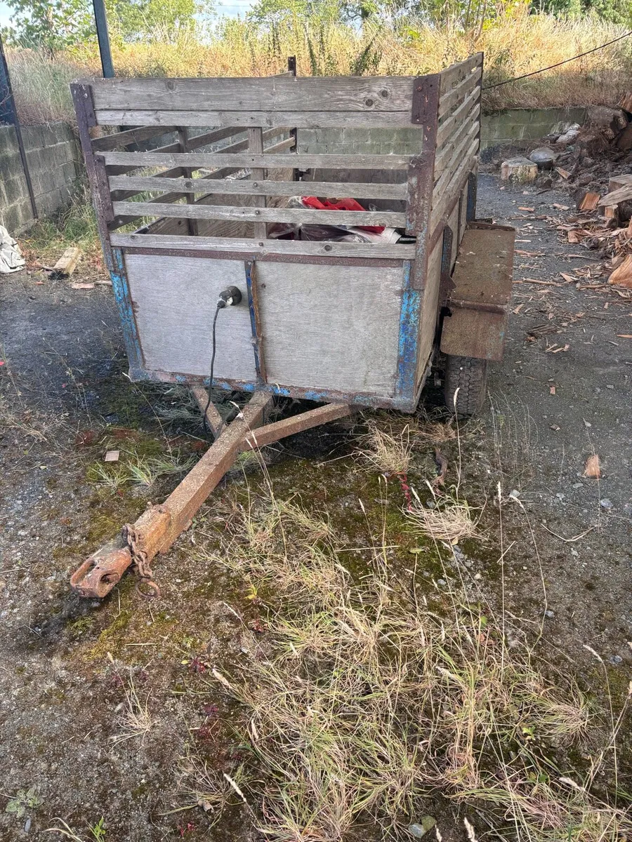 Twin Axle Trailer - Image 2