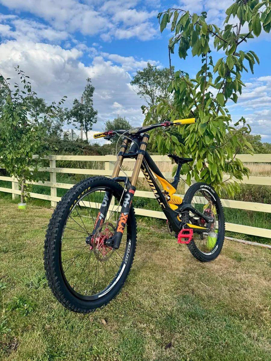 Specialized demo 8 - Image 2