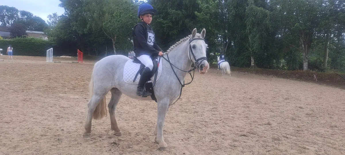 Hunting pony - Image 1