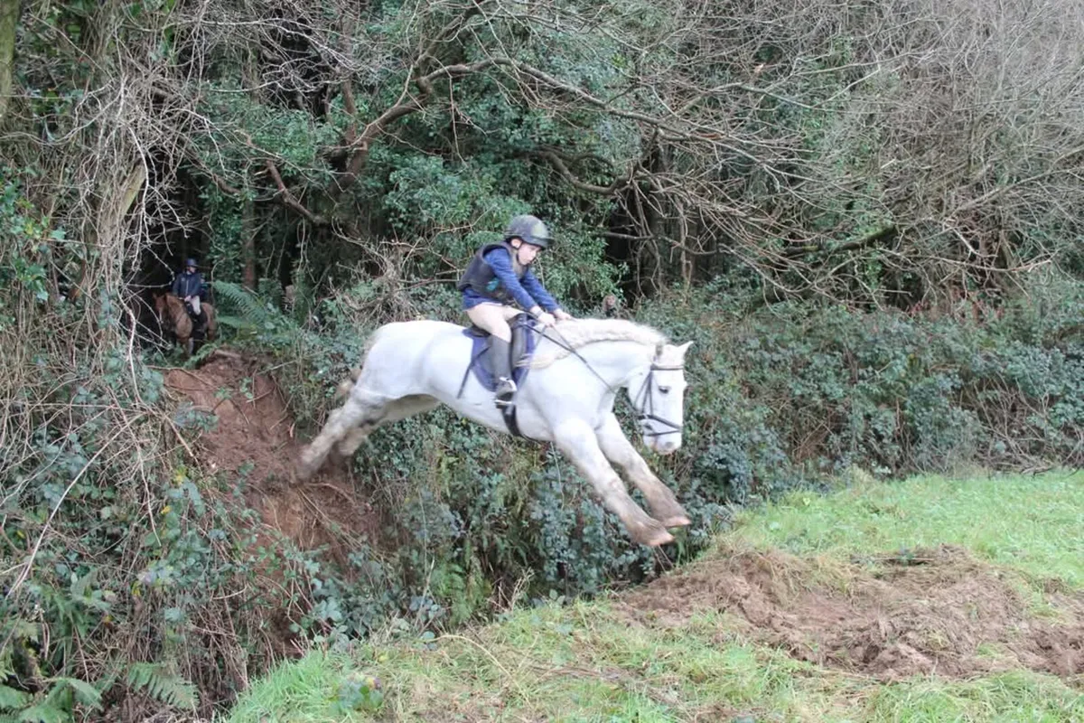 Hunting pony - Image 3