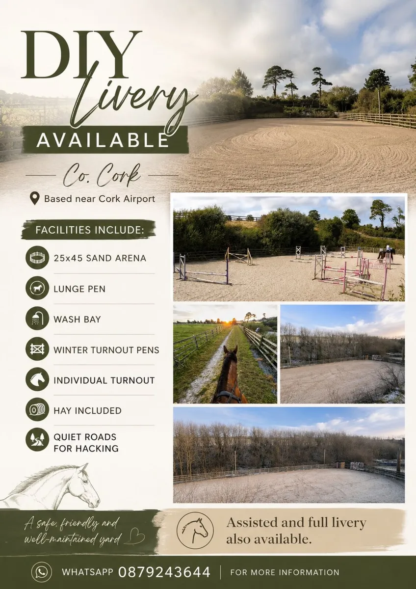 Livery Spaces available - Image 1