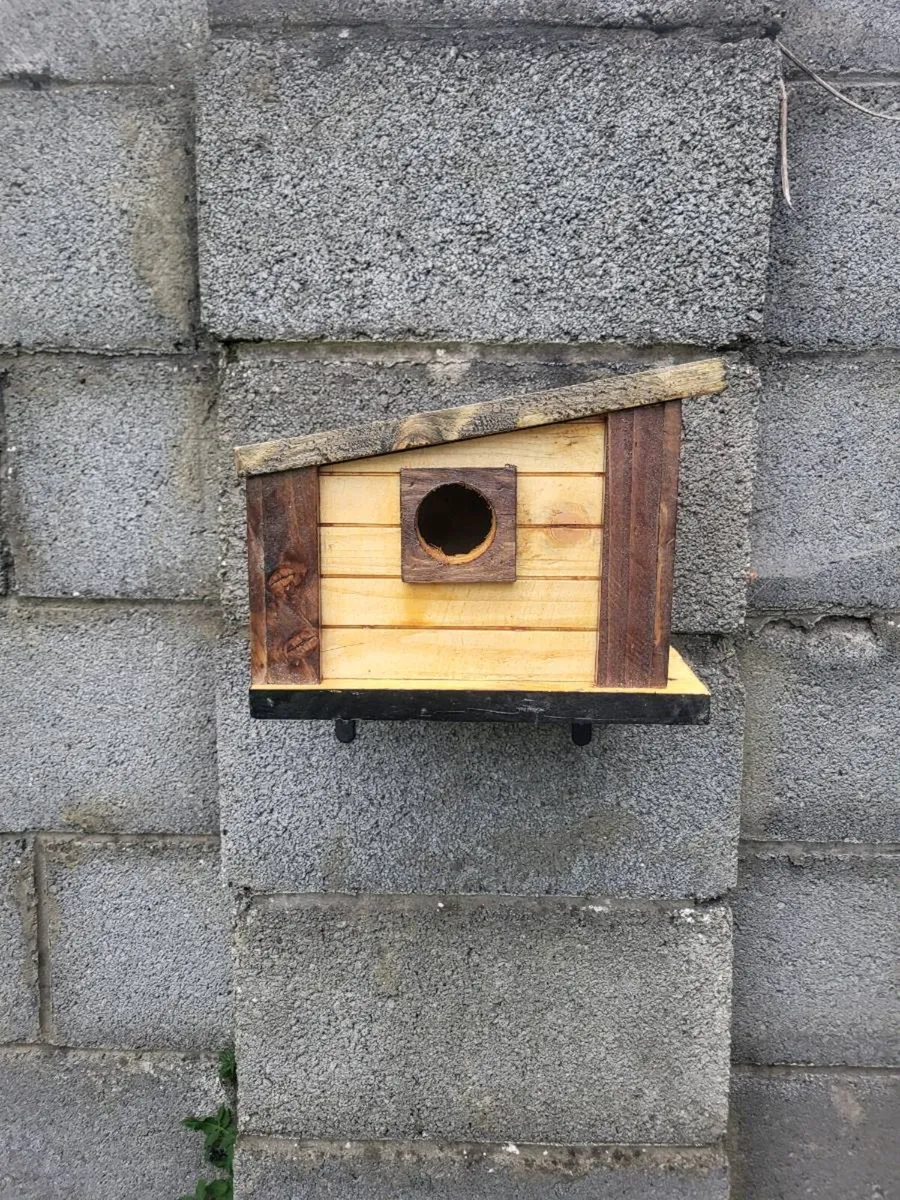 Bird house - Image 1