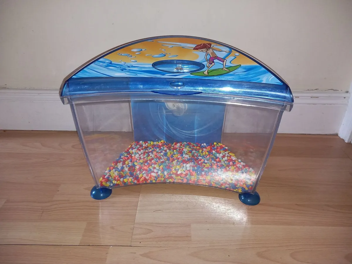Aquarium - Image 4
