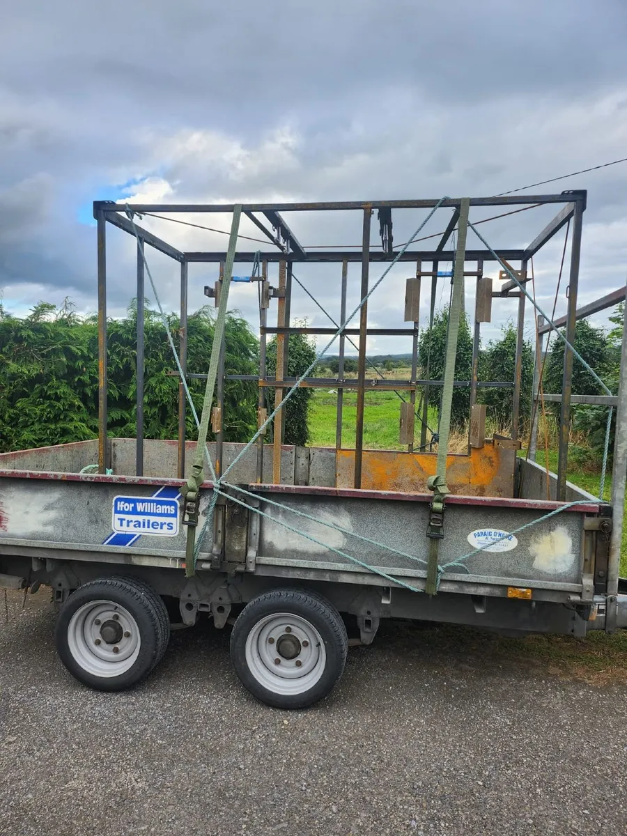 Steel Frame - Image 2