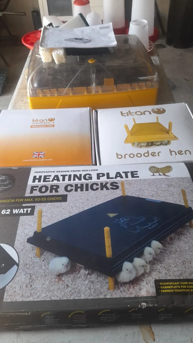 Brooder heat plates - Image 1