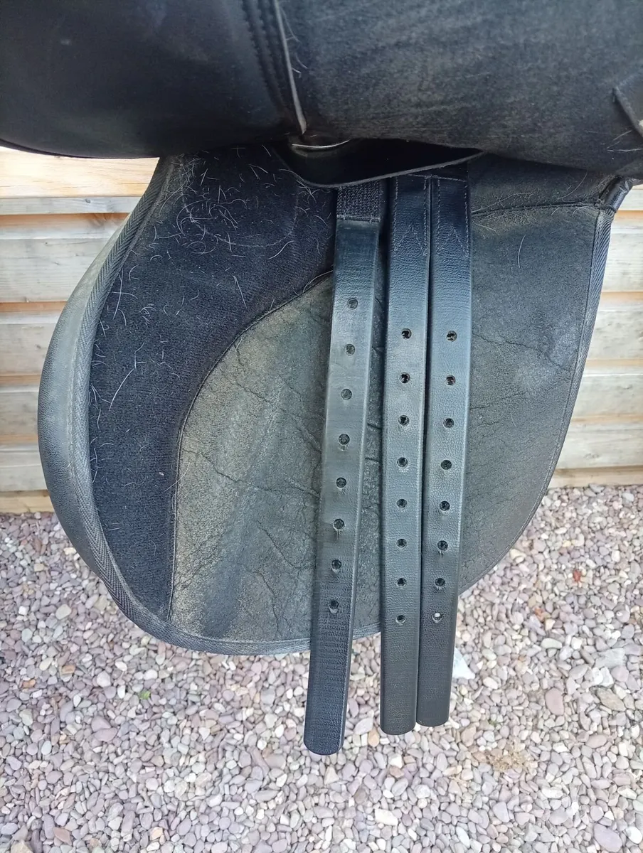 Adjustable Wintec saddle - Image 2