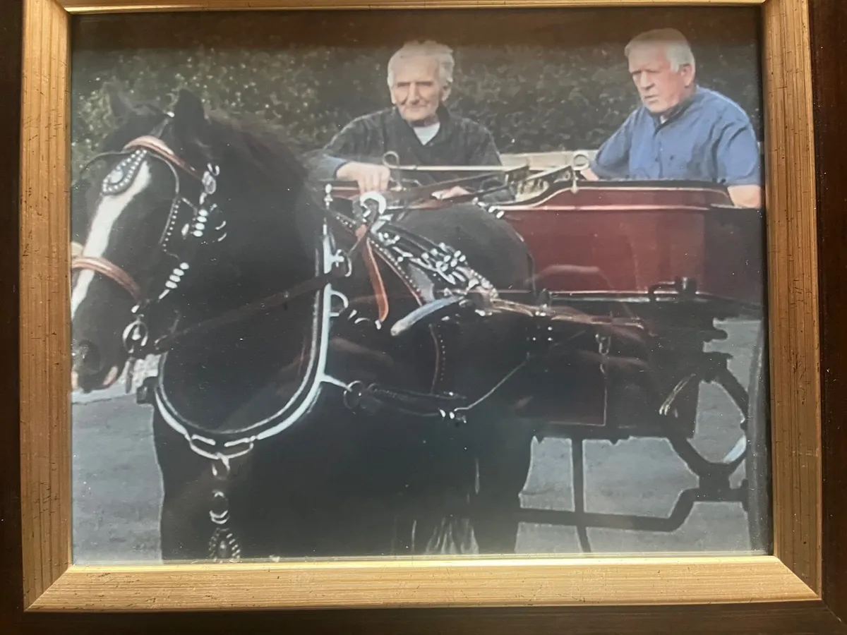 Driving equipment and riding tack - Image 1