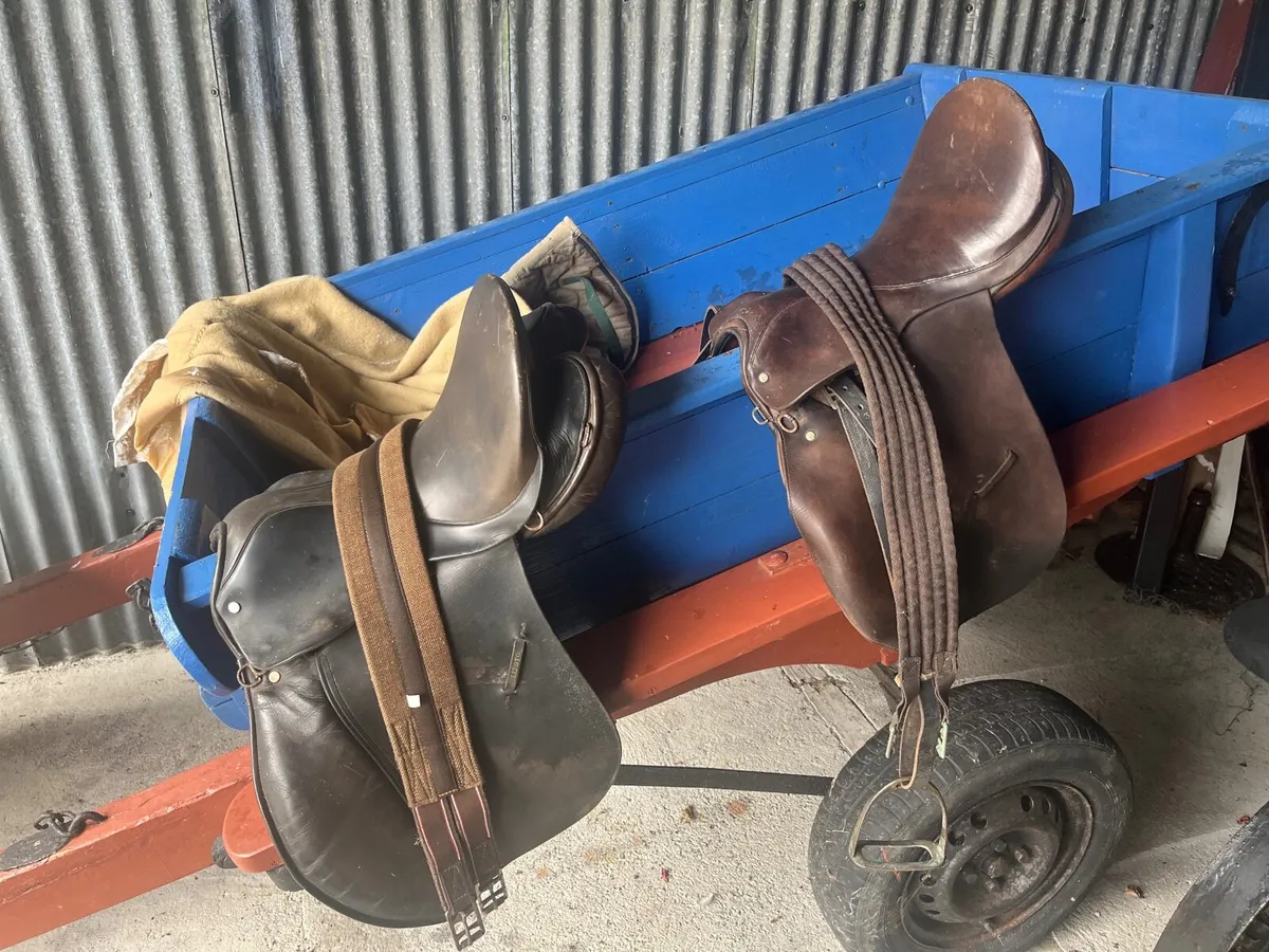 Driving equipment and riding tack - Image 4