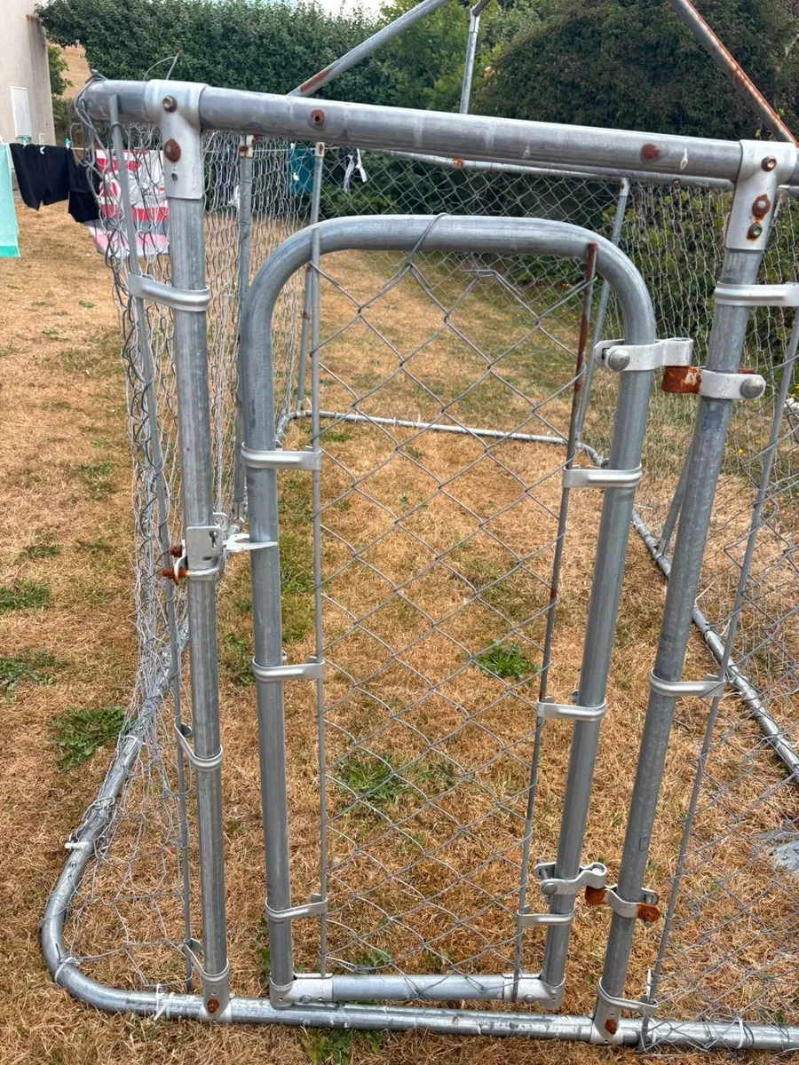 Dog Run - Image 1