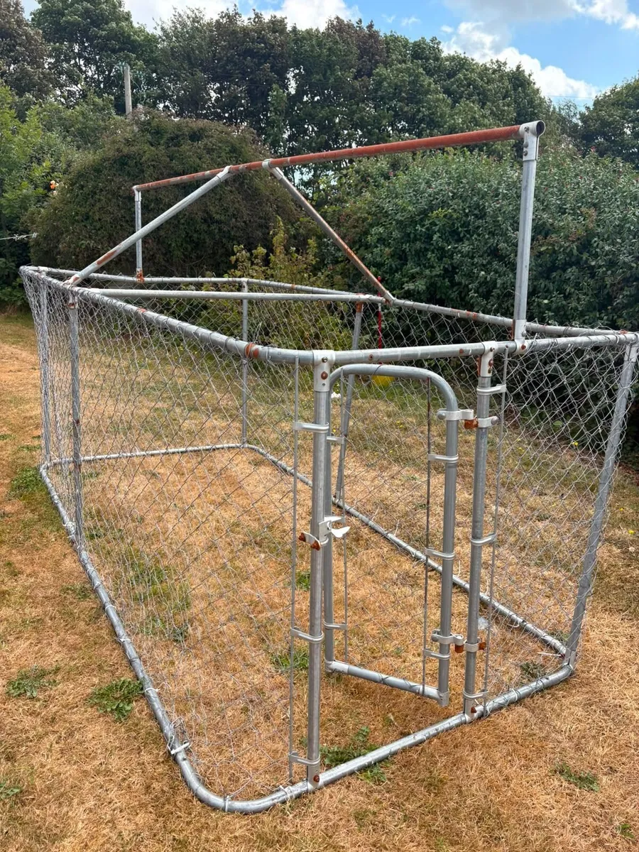 Dog Run - Image 3