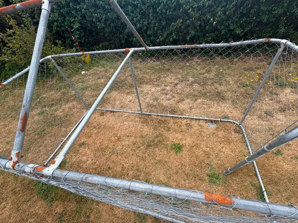 Dog Run - Image 4