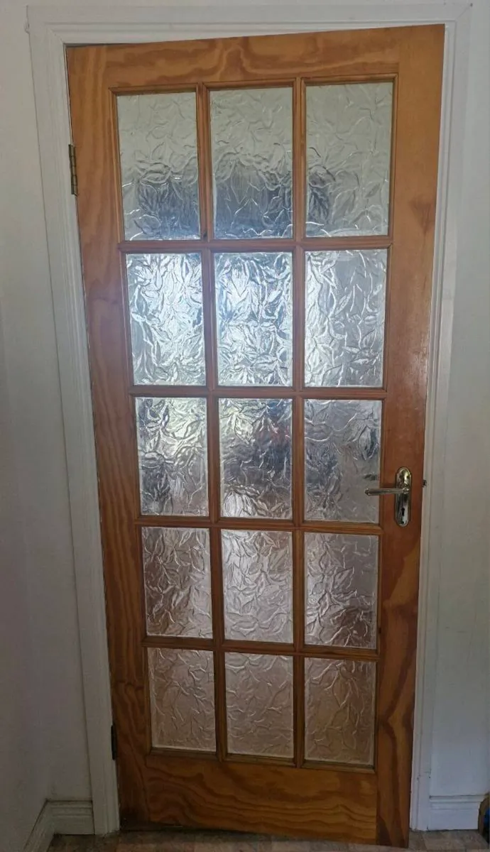 Glass Panel Interior Doors - Image 1