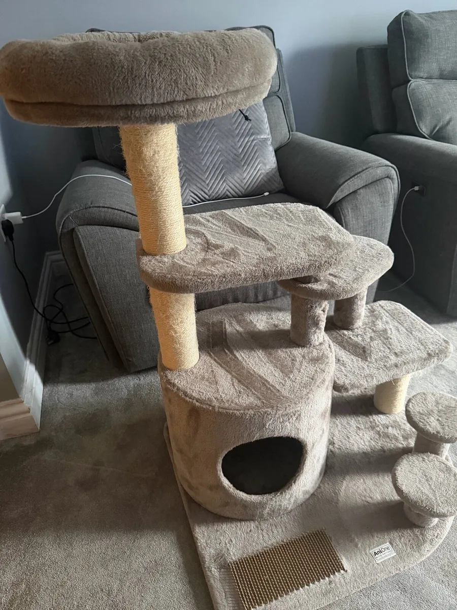 Cat scratching furniture - Image 4