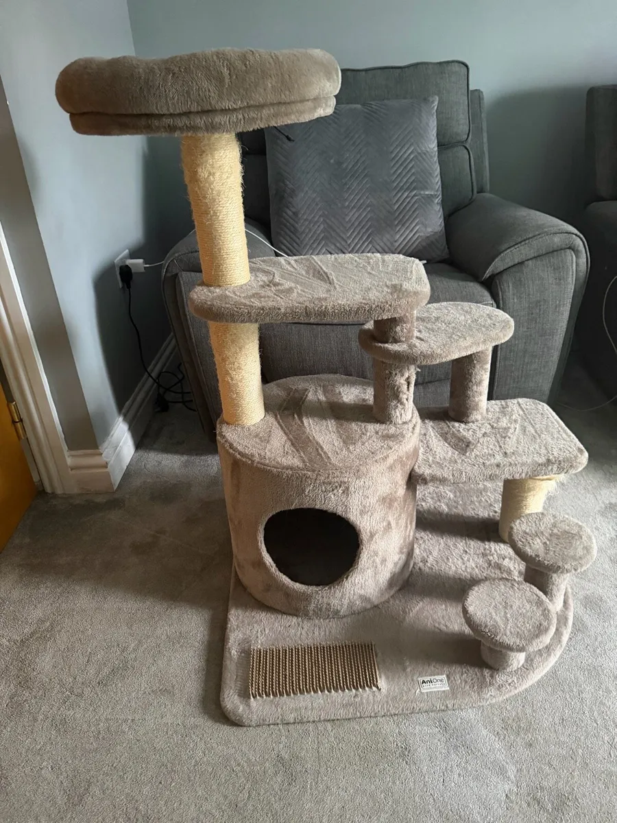 Cat scratching furniture - Image 1
