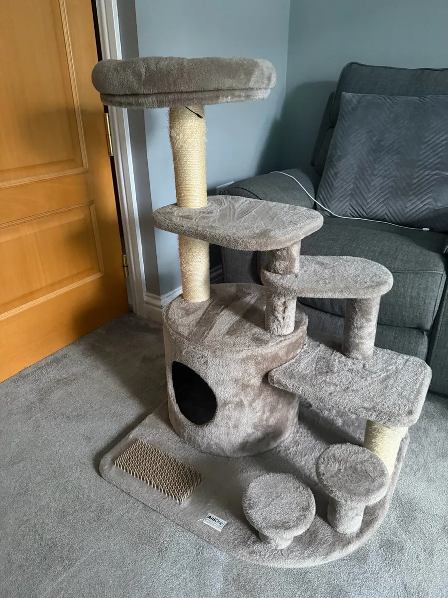 Cat scratching furniture - Image 2