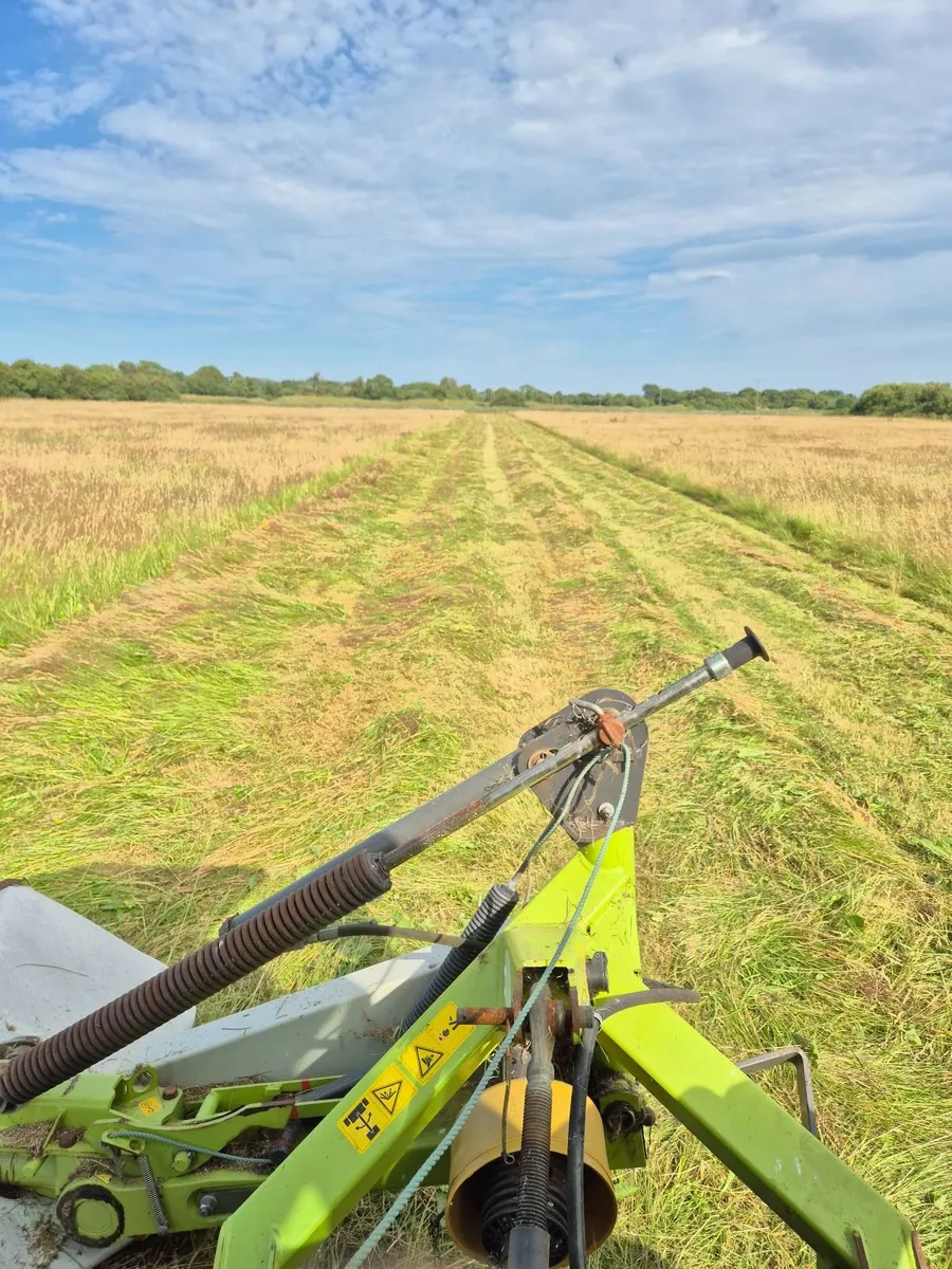2025 Hay for sale. Horses/ Cattle/ Sheep. - Image 4