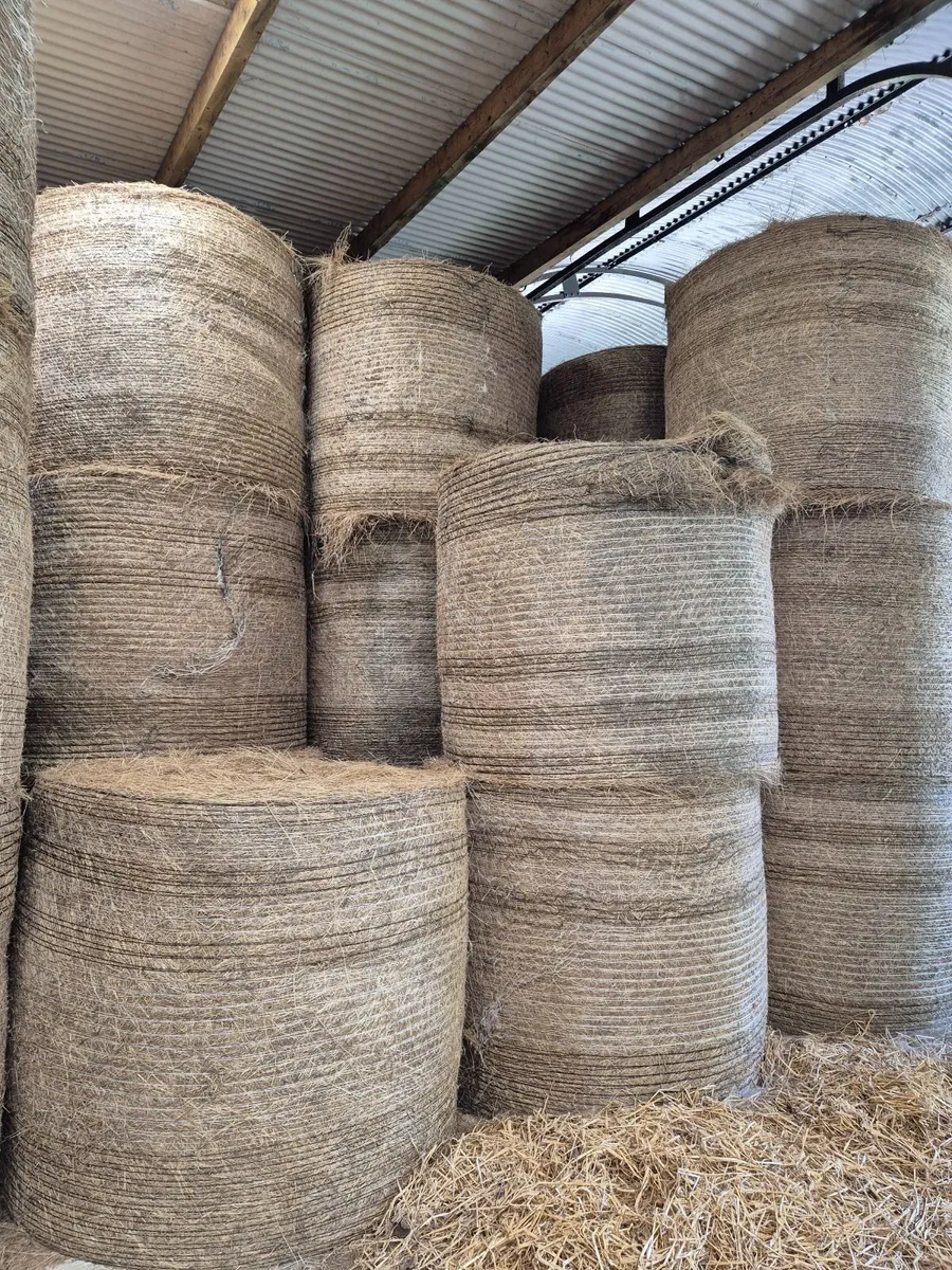 2025 Hay for sale. Horses/ Cattle/ Sheep. - Image 1