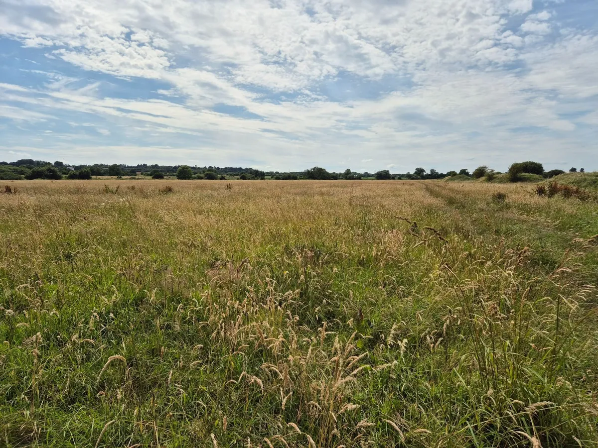 2025 Hay for sale. Horses/ Cattle/ Sheep. - Image 3