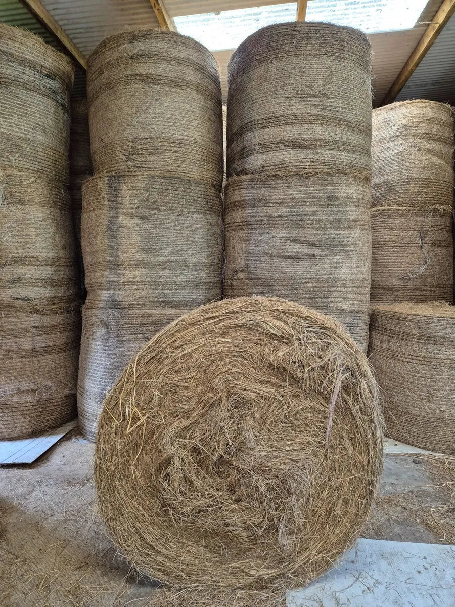 Horse Hay - Image 3