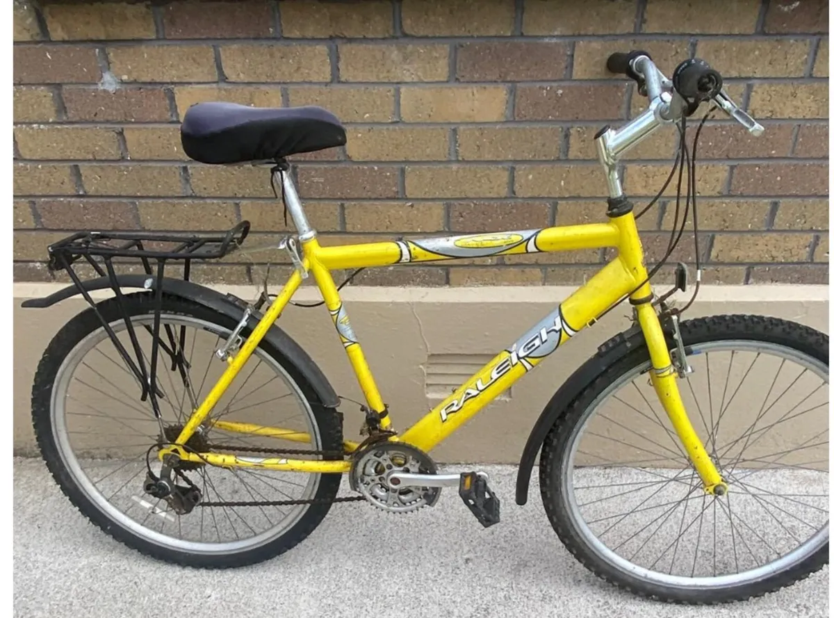 Raleigh Mountain Bike – Ready to Ride - Image 1