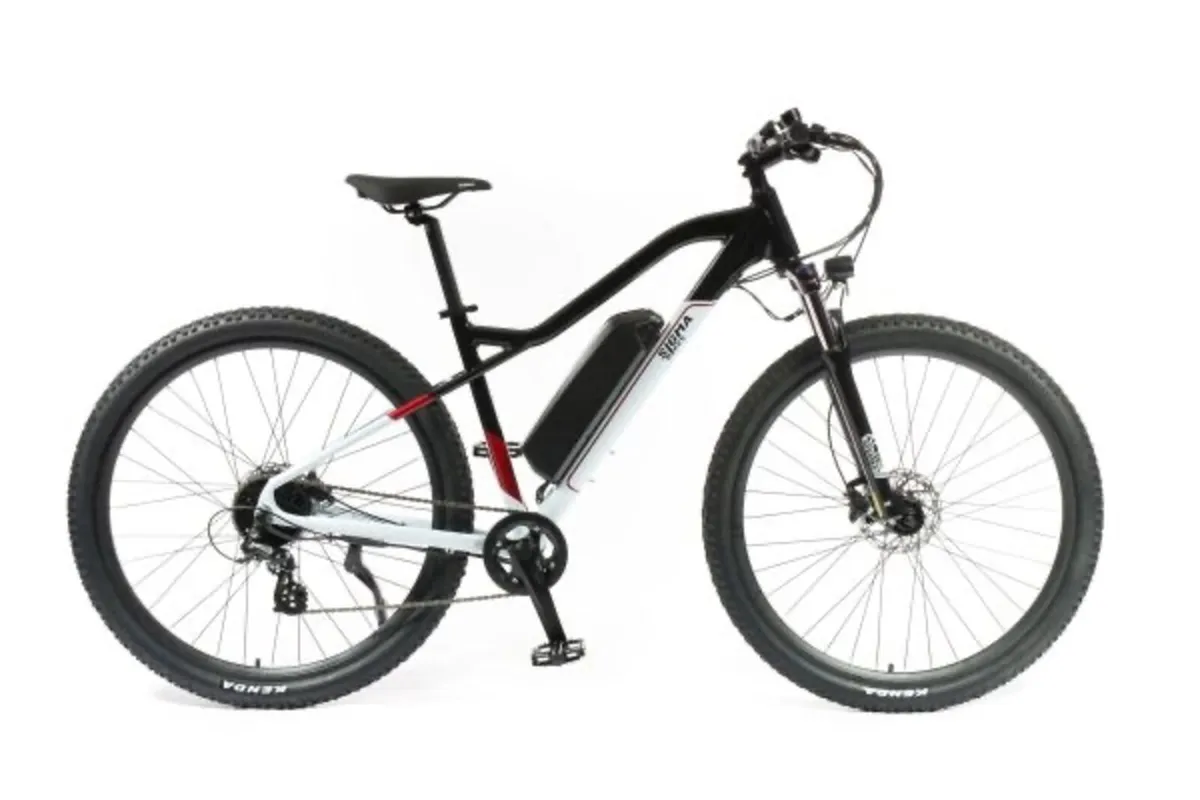 Electric Mountain Bike - Image 2
