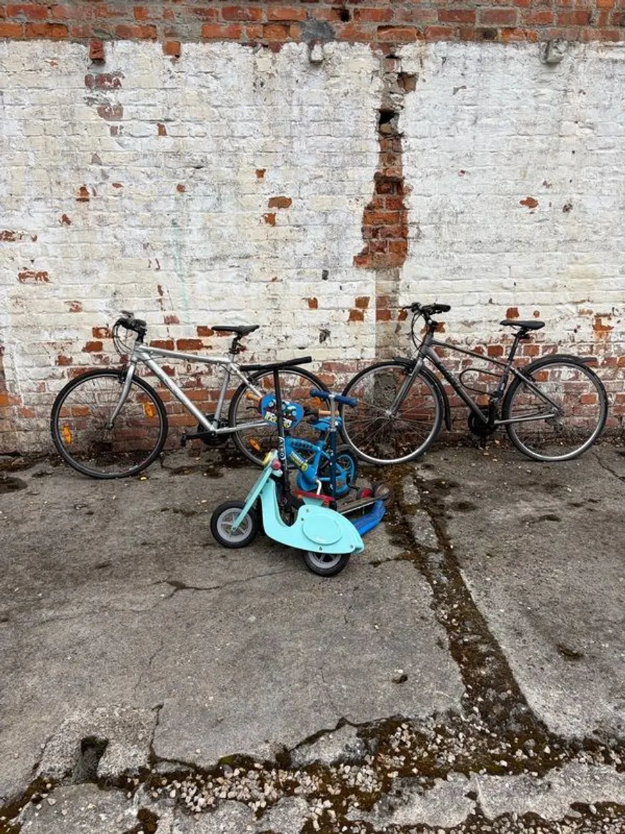 Family Bicycle Package - Image 1