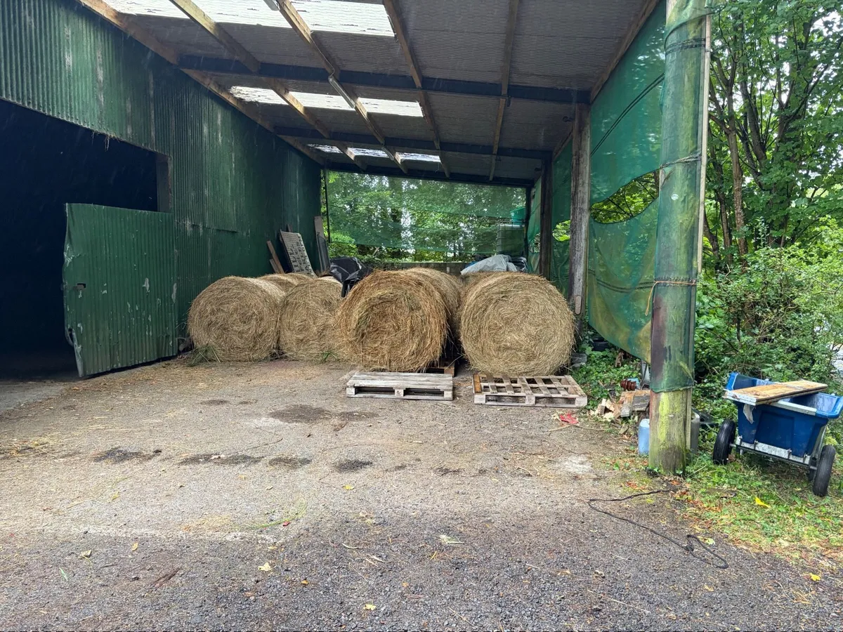 Hay - Image 1