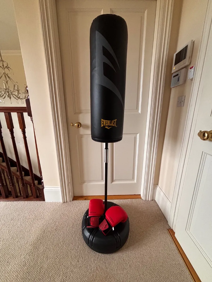 Boxing Bag - Image 1