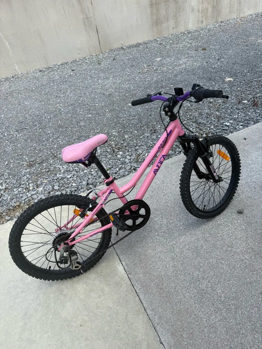 20 Inch Avoca FS20 Mountain Bike Pink - Image 1
