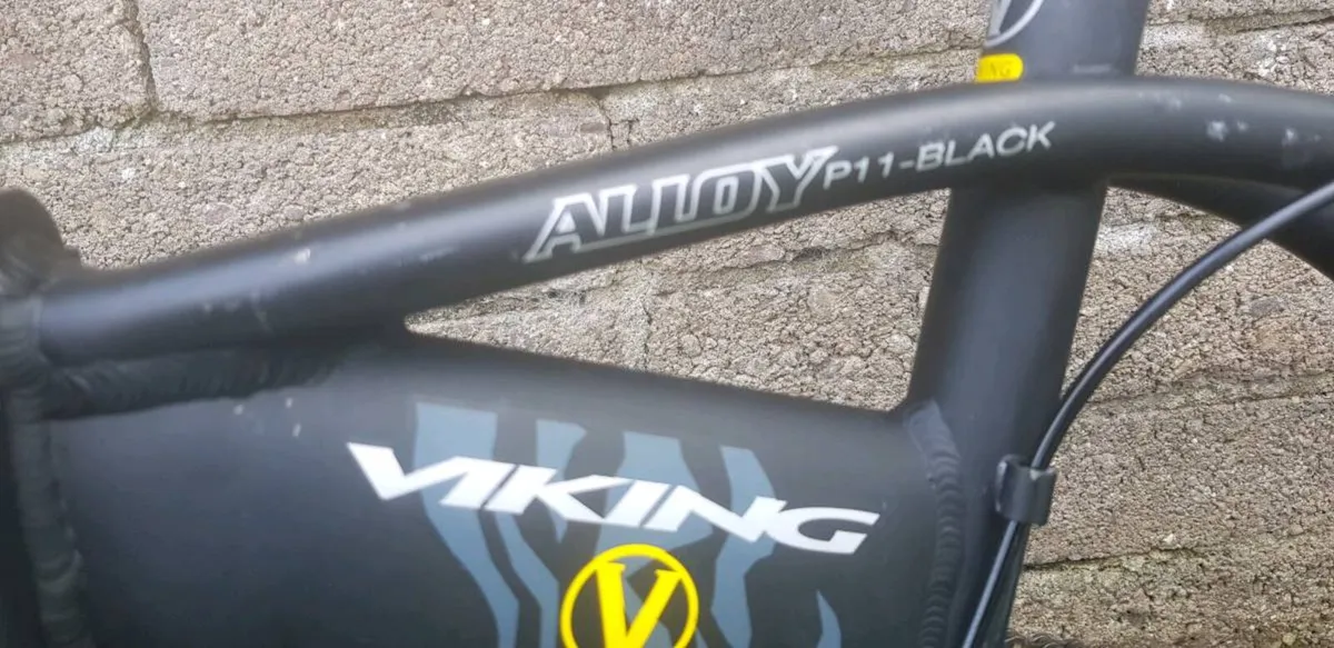 Bike - Image 2