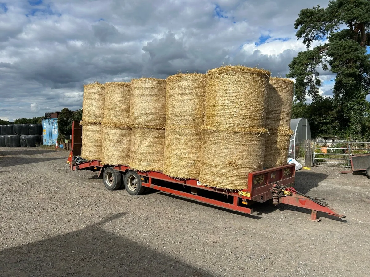 Winter barley straw - Image 1