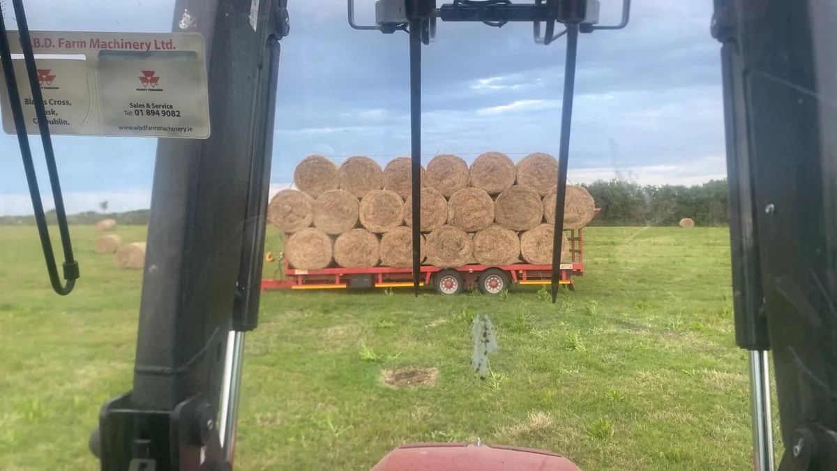 Hay - Image 1