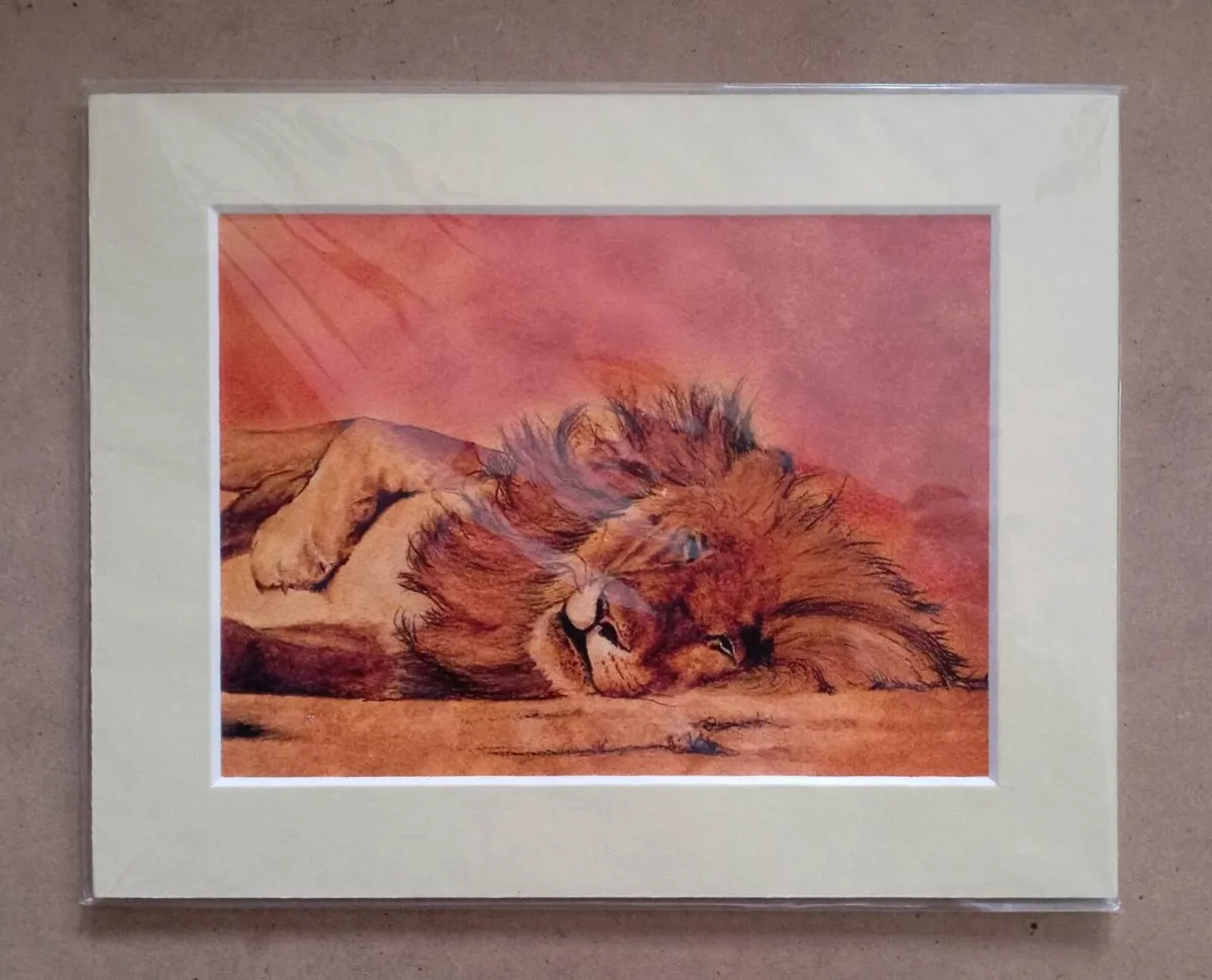 Simon Stevenson Four Safari Prints - Image 3