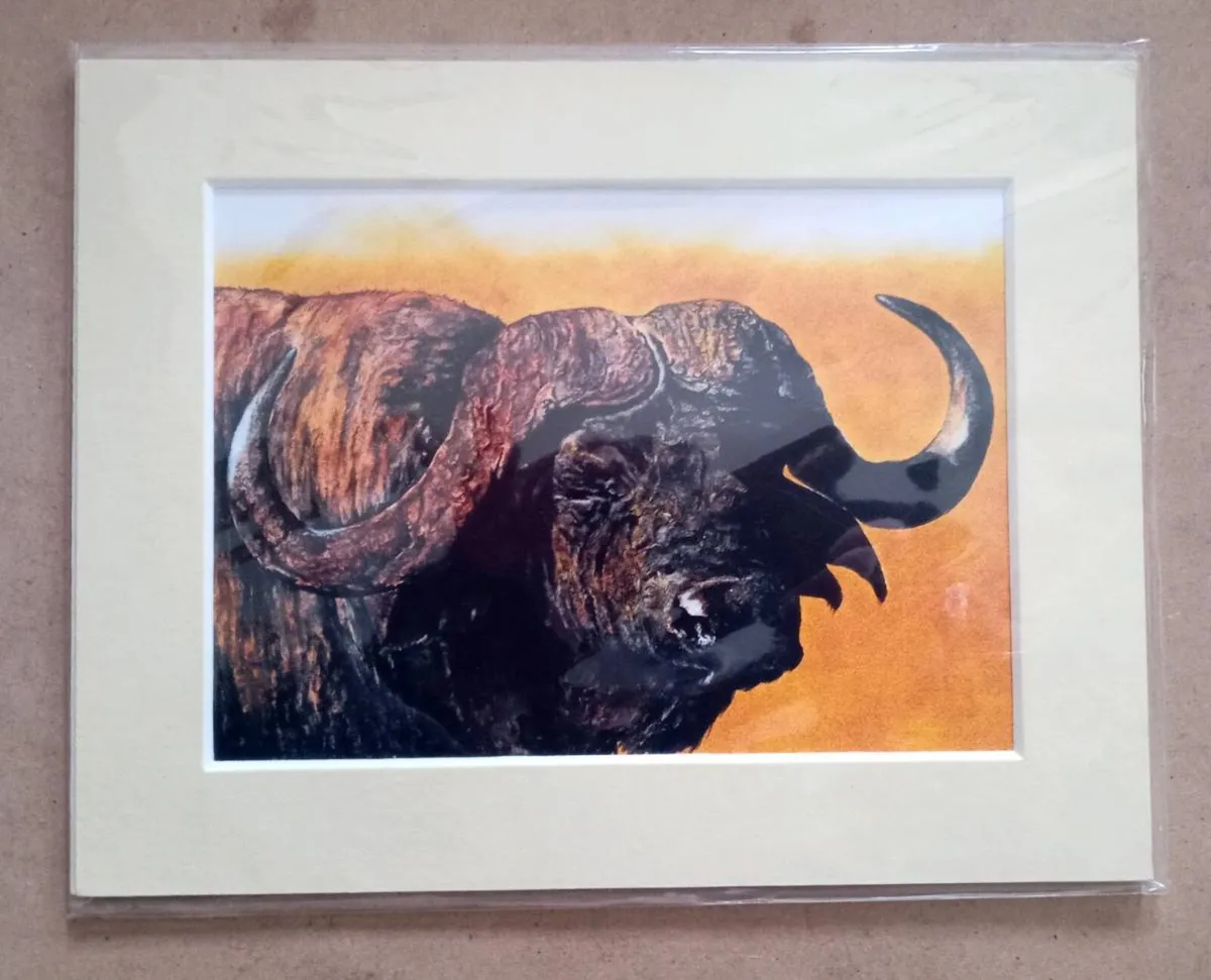 Simon Stevenson Four Safari Prints - Image 4