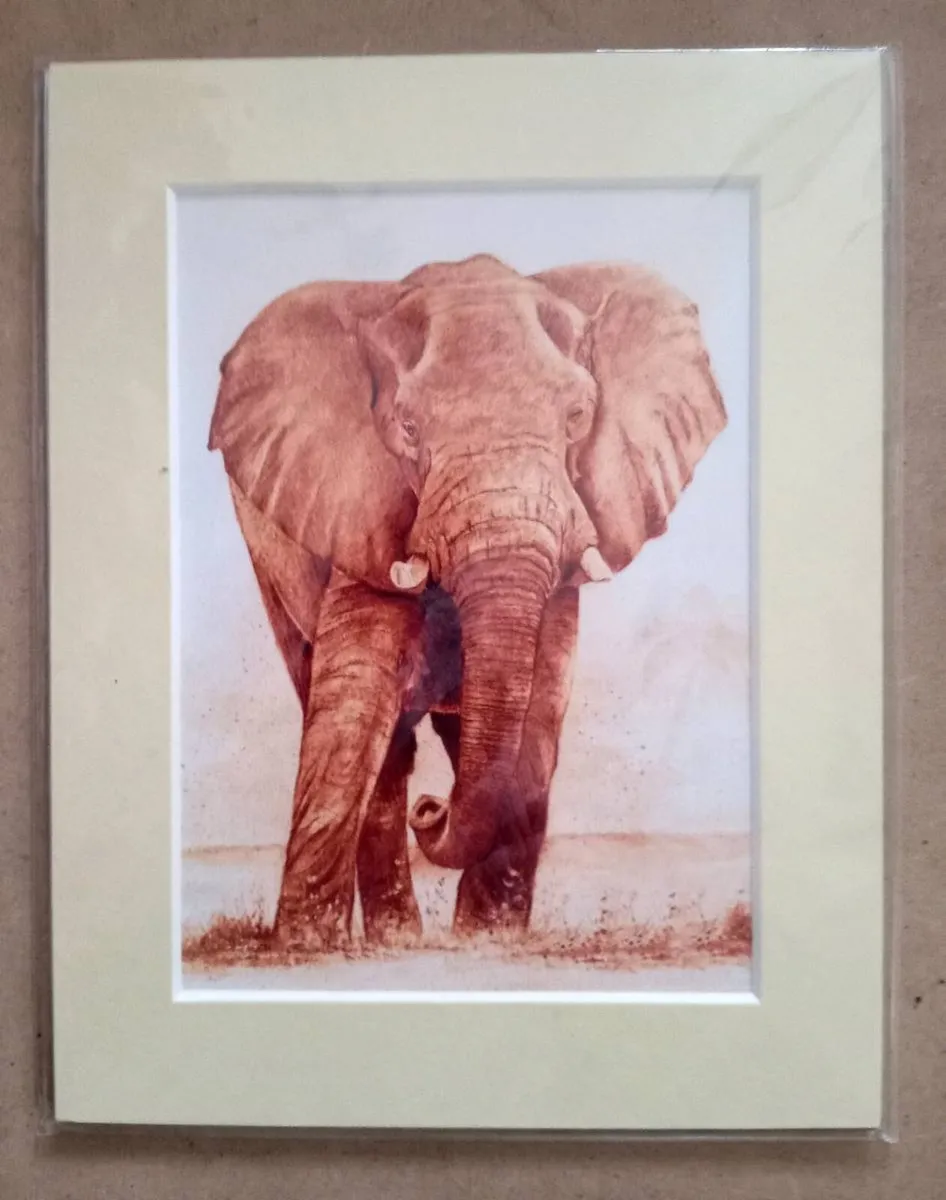 Simon Stevenson Four Safari Prints - Image 2