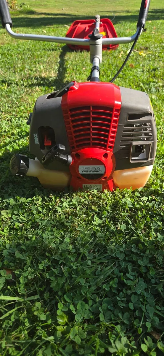Strimmer - Image 1