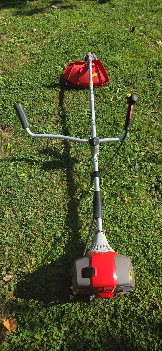 Strimmer - Image 2