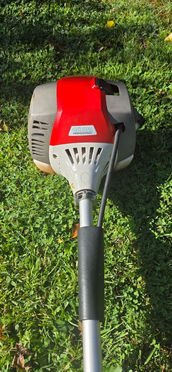 Strimmer - Image 3