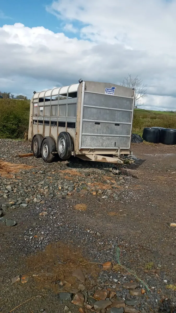 Iforwilliams 12by6 cattle trailercall 0868782672 - Image 1
