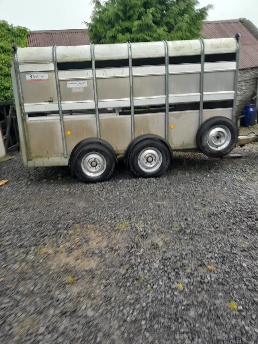 Iforwilliams 12by6 cattle trailercall 0868782672 - Image 2