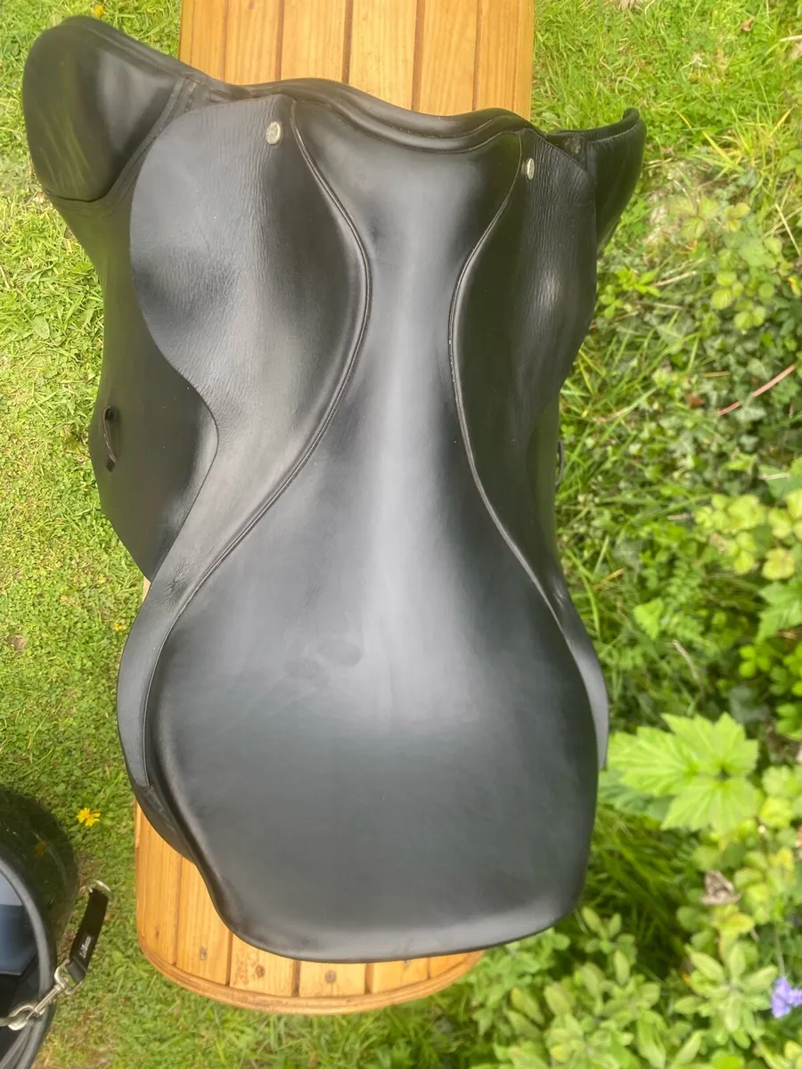 18” Berney black Leather jump saddle new model - Image 4