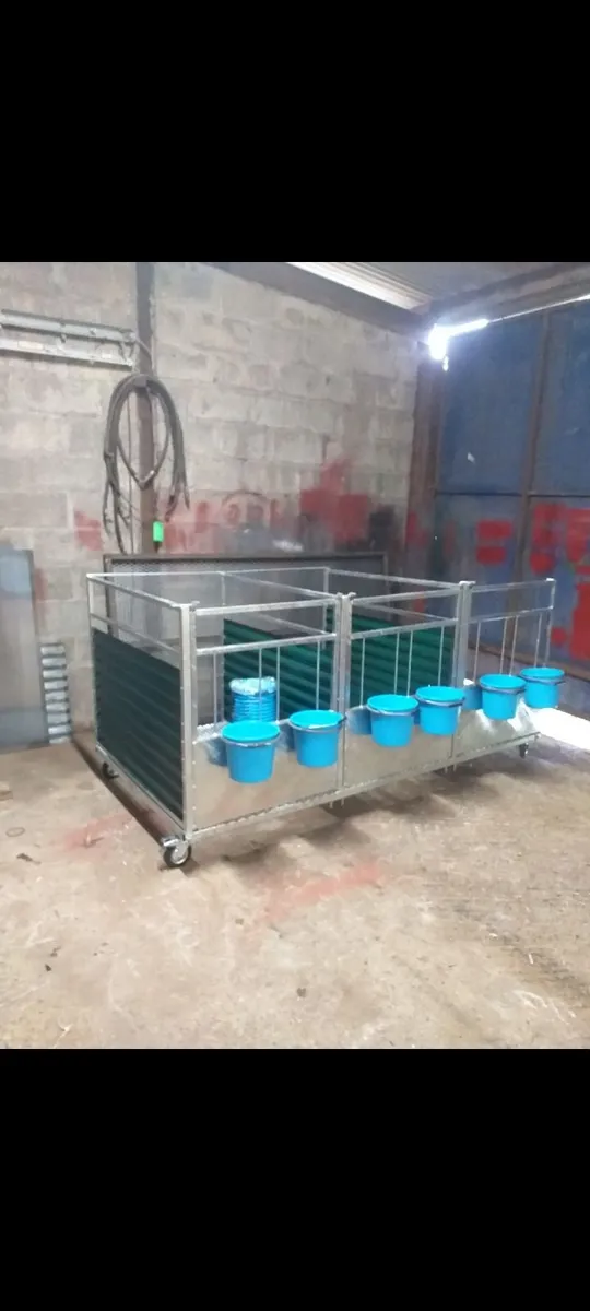 Calf pens - Image 1