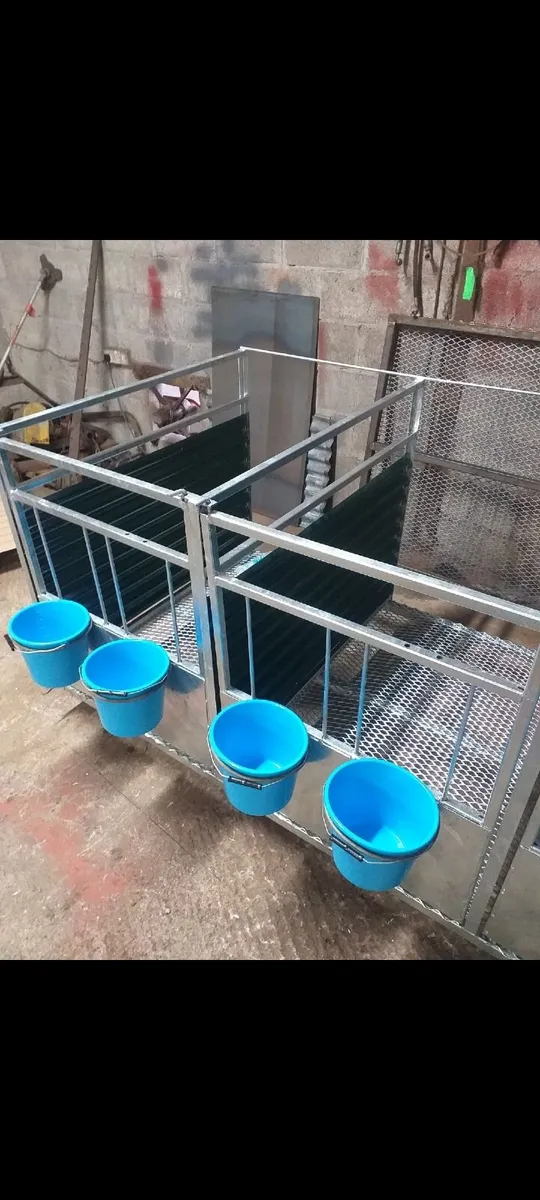 Calf pens - Image 2