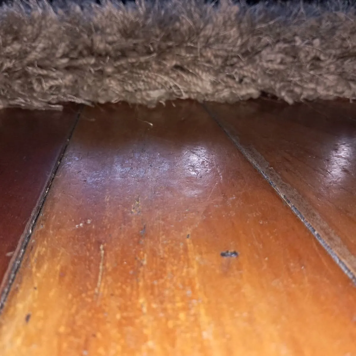 Rug - Image 2