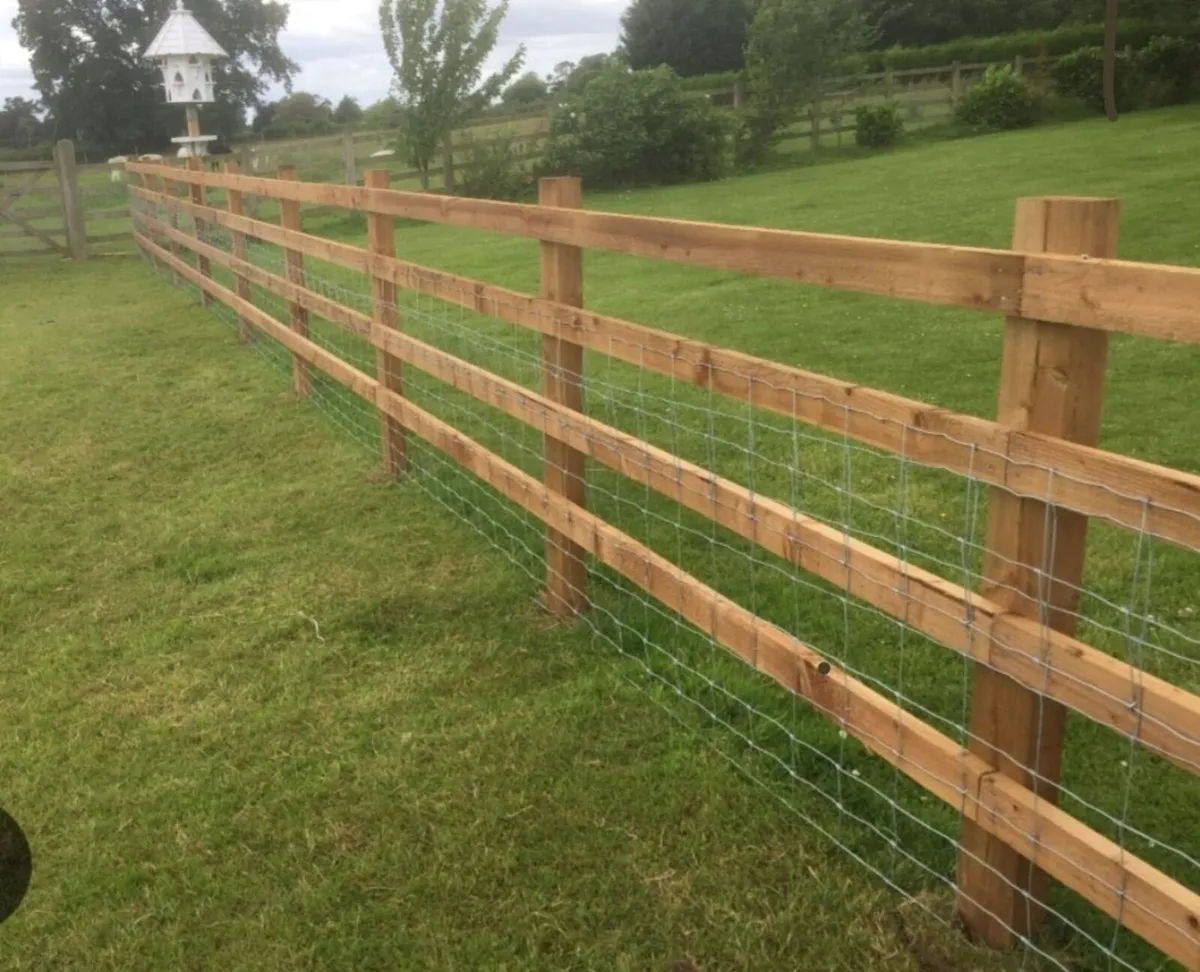 Pergola fencing exterior carpentry - Image 1