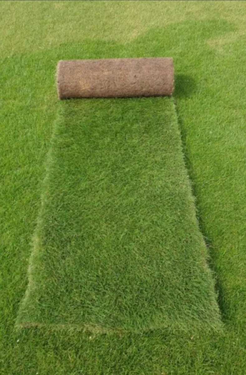 Turf lawns ireland - Image 2