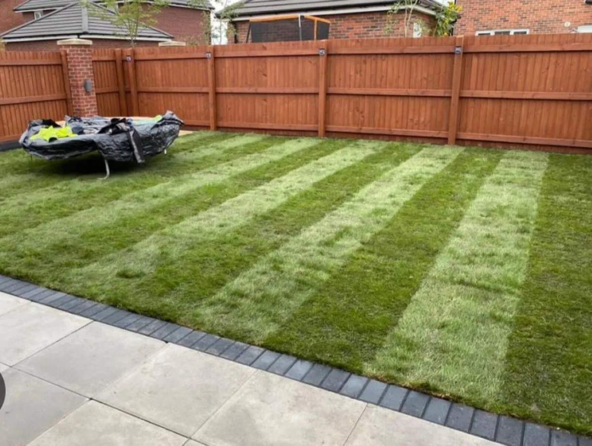 Turf lawns ireland - Image 3