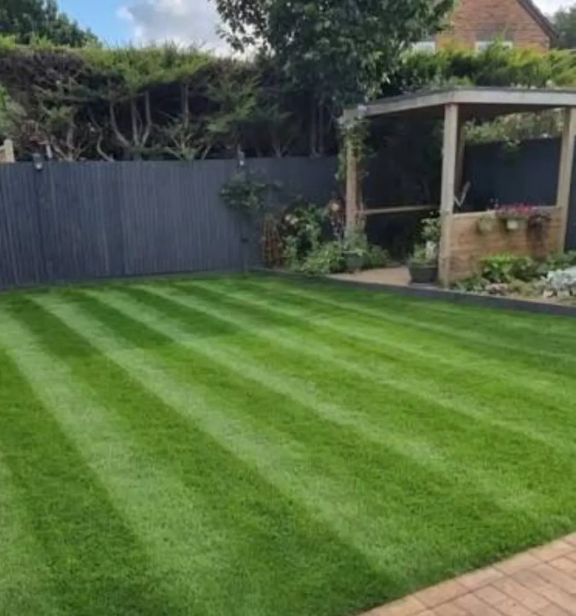 Turf lawns ireland - Image 4